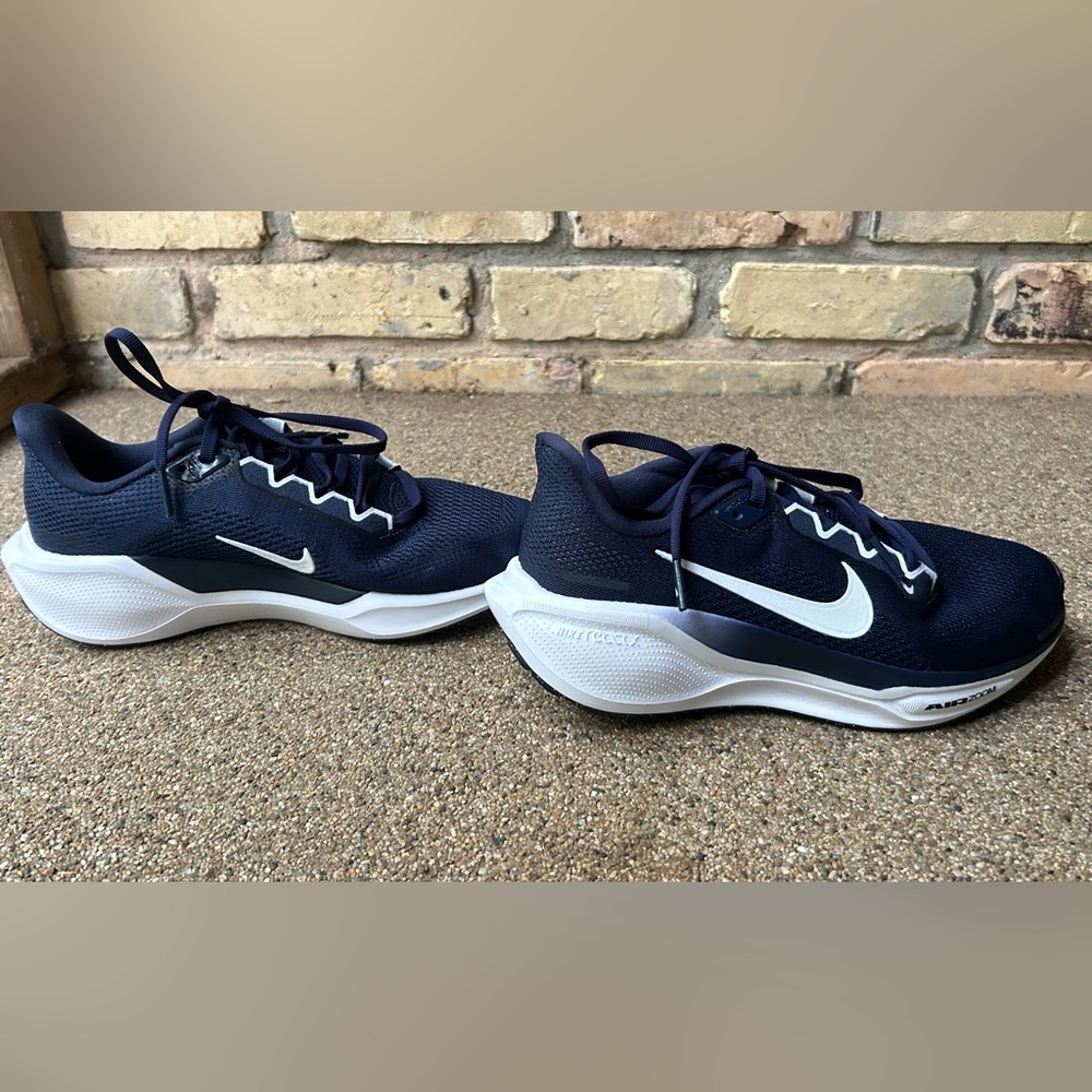 Nike Pegasus 41
